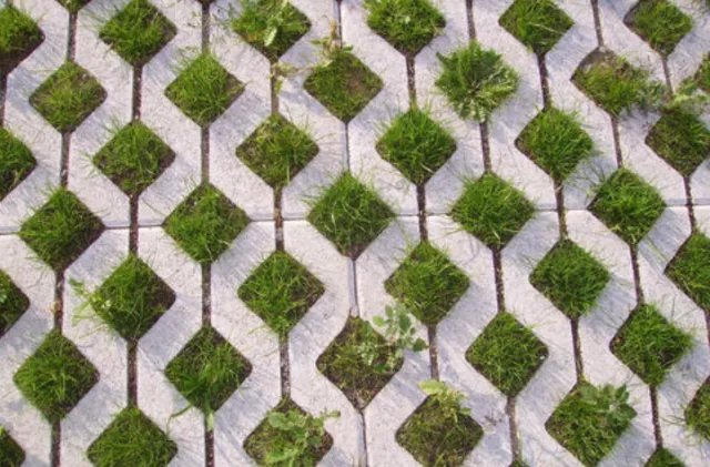 is your yard ready to withstand disasters? 5 projects to protect your home 19256
