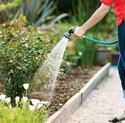the principles to follow and the mistakes to avoid when watering plants 19374