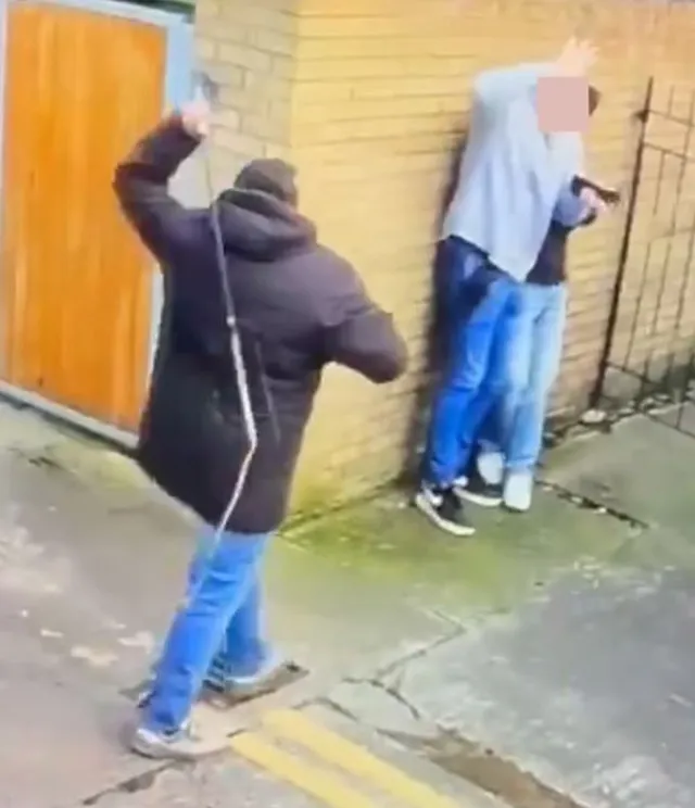 american tourists allegedly whipped by dublin horse carriage driver sparks 19985