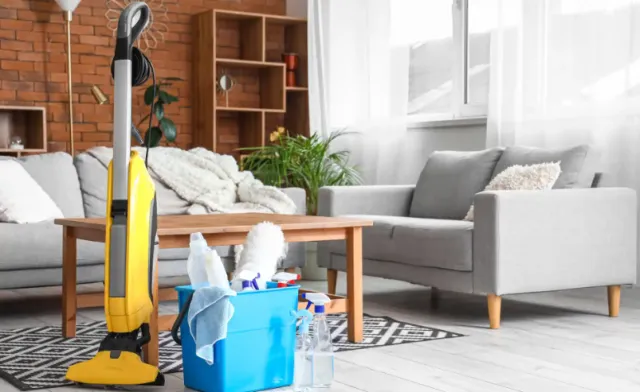 cleaning schedule: how often should you clean everything? 19947