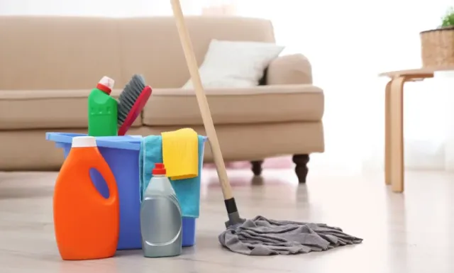 cleaning schedule: how often should you clean everything? 19948