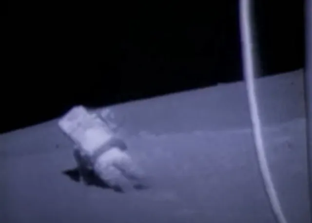 people question if any of it was real as surfaced video captures a rare mom 20246