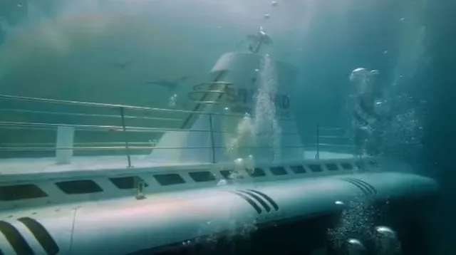 survivors reveal critical mistake that led to red sea submarine disaster le 20678