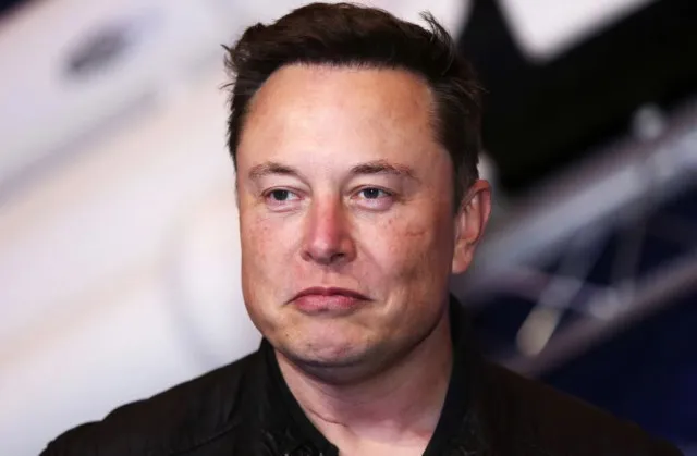 elon musk responds to tim walz after he mock teslas stock decline amid dog 20958