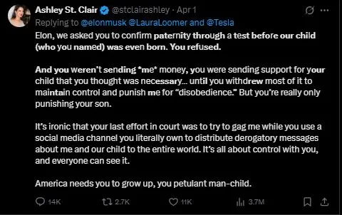 awkward detail noticed on mother of elon musks 13th childs x profile afte 21031