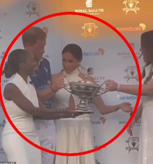 meghan markle was alleged to have blanked harrys sentebale charity boss, d 21180