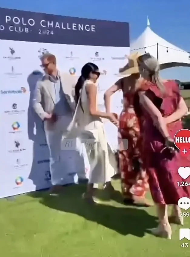 meghan markle was alleged to have blanked harrys sentebale charity boss, d 21181
