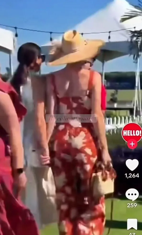 meghan markle was alleged to have blanked harrys sentebale charity boss, d 21179
