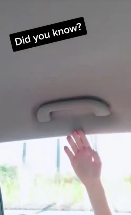 people lost their minds after discovering what the interior handles in cars 21244