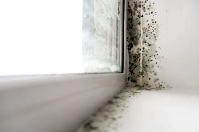 college student sparks alarm after revealing shocking growth inside bathroo 21789