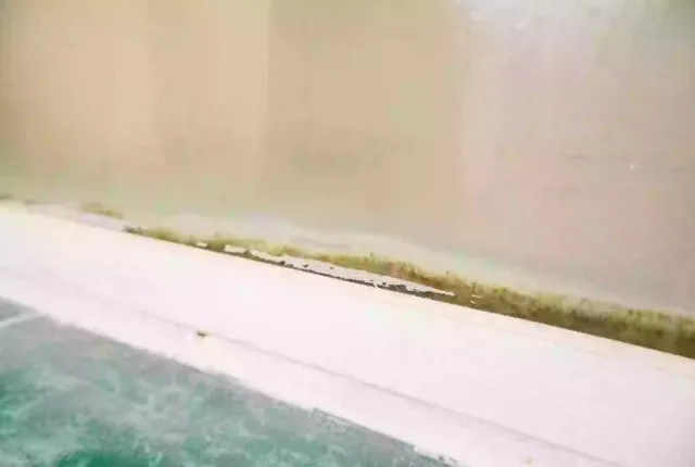 college student sparks alarm after revealing shocking growth inside bathroo 21790