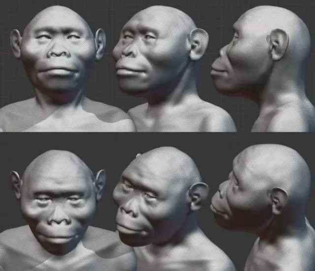scientists recreate the face of lucy humanity’s most influential ancestor 21797