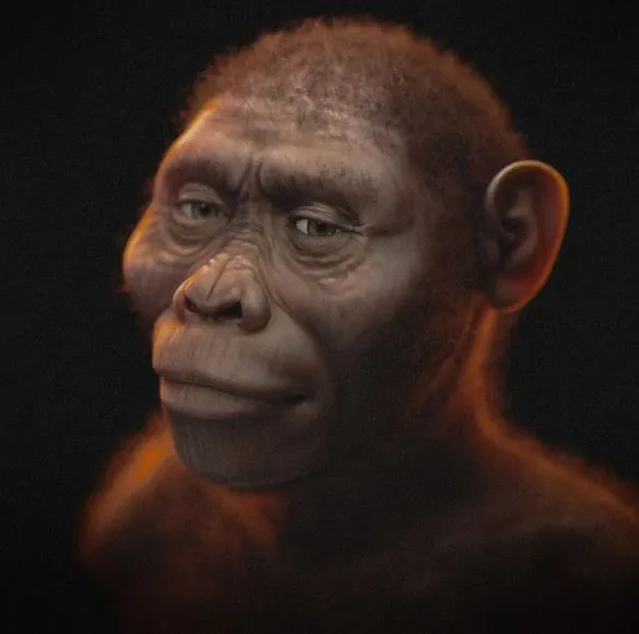 scientists recreate the face of lucy humanity’s most influential ancestor 21796