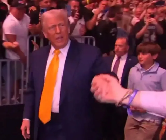 trump appeared at the ufc event in florida alongside a star-studded lineup 22004