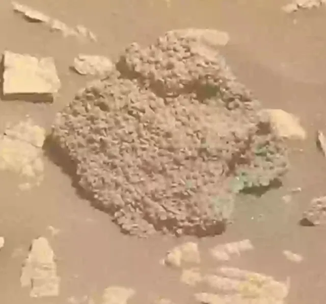 scientists were amazed after discovering a strange rock on mars that had ne 22274
