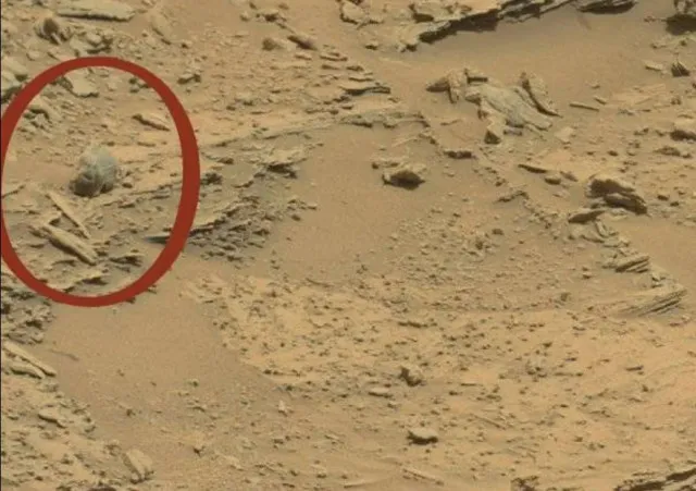 nasa finds eerie skull-shaped formation in shocking discovery on mars 22441