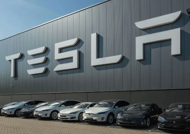 elon musk announces reduced role in doge amid teslas profits plunging over 22792