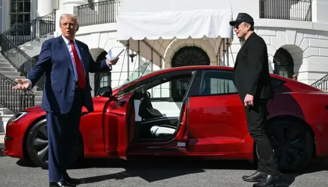 elon musk announces reduced role in doge amid teslas profits plunging over 22793