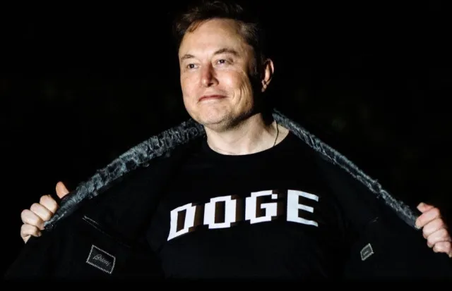 elon musk announces reduced role in doge amid teslas profits plunging over 22791
