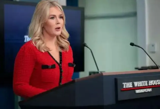 chinese diplomat calls out karoline leavitt’s ‘made in china’ dress sparkin 23313