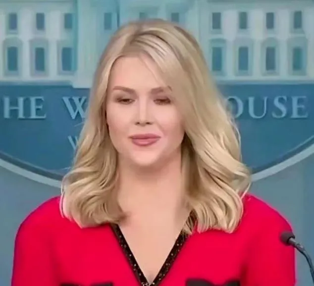 chinese diplomat calls out karoline leavitt’s ‘made in china’ dress sparkin 23312