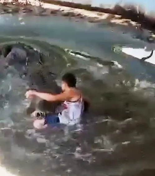 people stunned as tourist is savagely attacked by crocodile after mistaking 23330