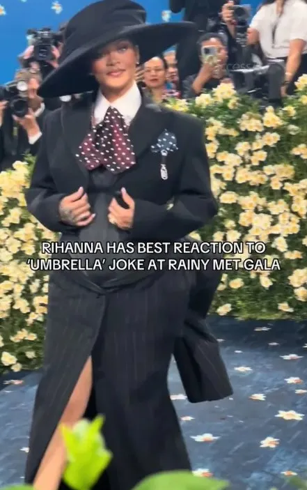rihanna sparks twin pregnancy rumors after she makes bizarre comment at met 23545