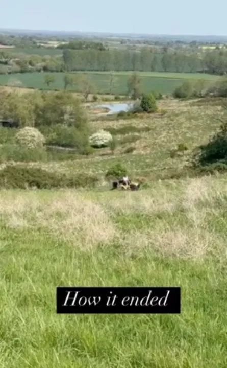 ellen degeneres stuns fans with life in the english countryside after leavi 23829