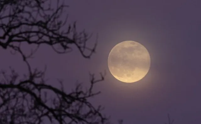 influencer who thought the moon disappeared joins trump’s first new media b 23938