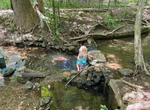 rfk jr. sparks controversy after swimming in bacteria-contaminated rock cre 24297