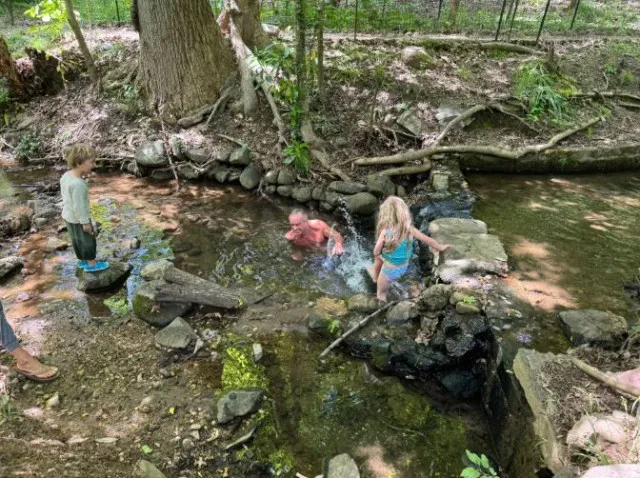 rfk jr. sparks controversy after swimming in bacteria-contaminated rock cre 24296