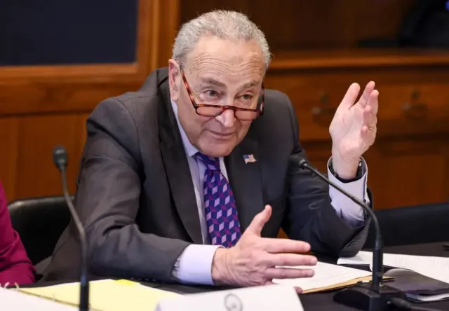 schumer faces backlash for blaming donal trump and doge for deadly mexican 24575
