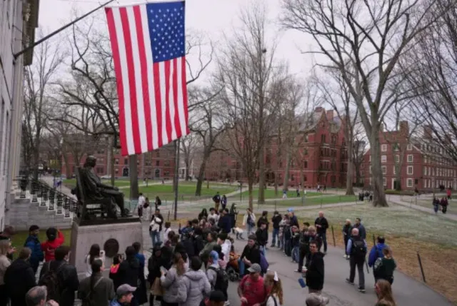 trump admin yanks harvard’s international student program and kicks out tho 24697
