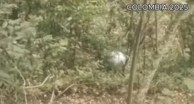 scientist delivers ominous message to humanity after ufo covered in strange 24930